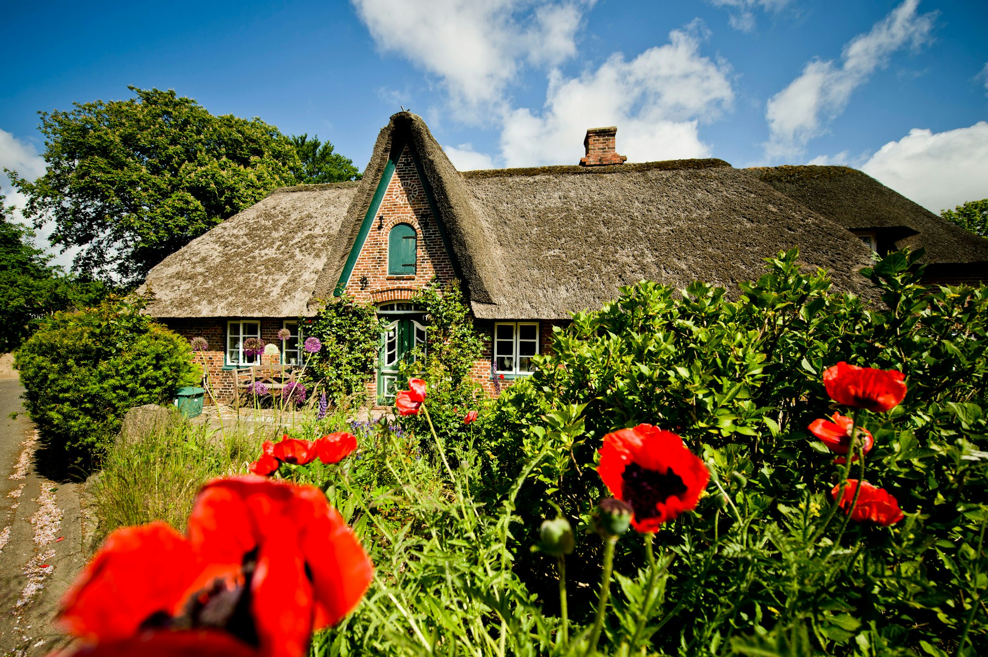 nordsee_insel_dpa (11)