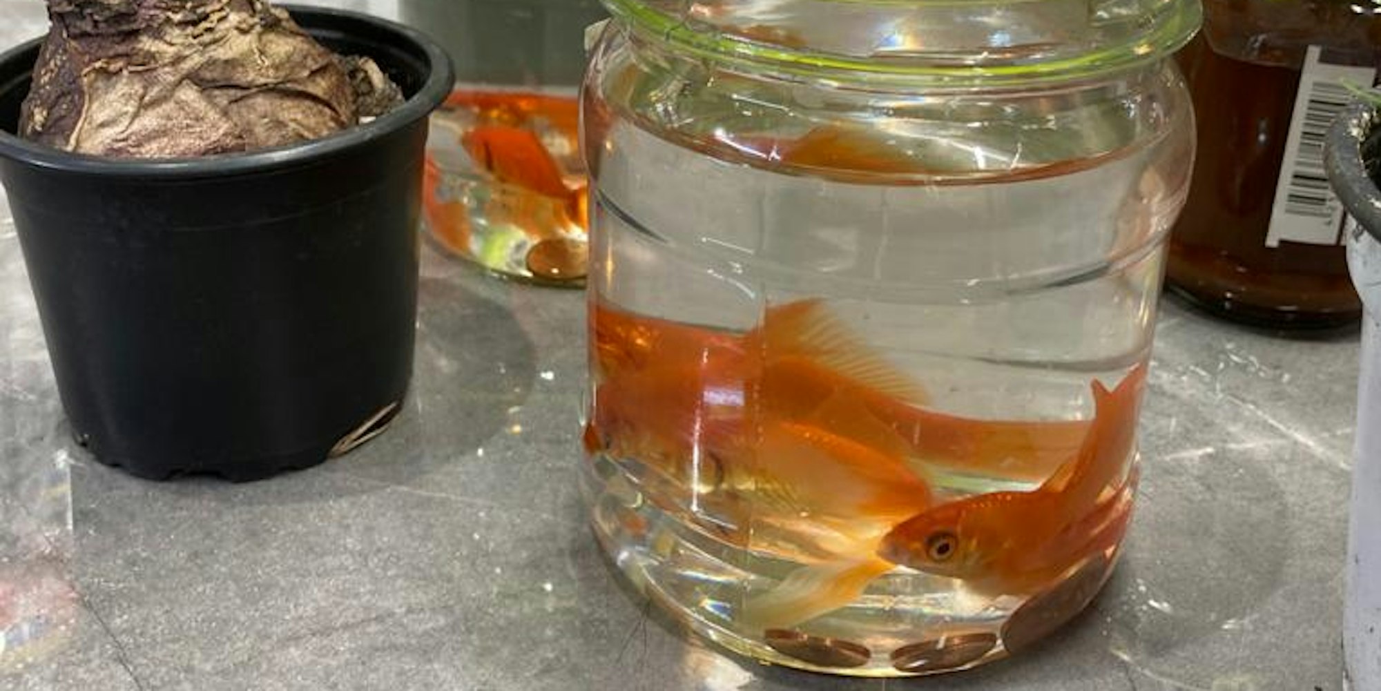 01XKB_16_71-171190262_ori