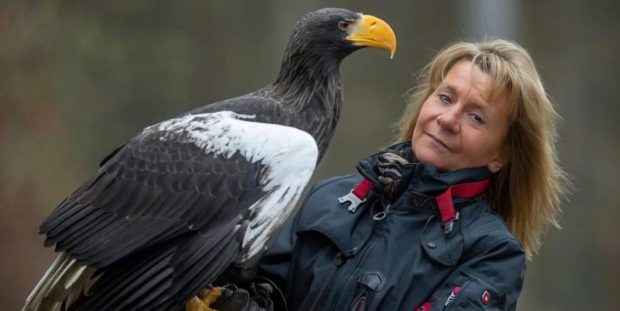 Adler Grobi