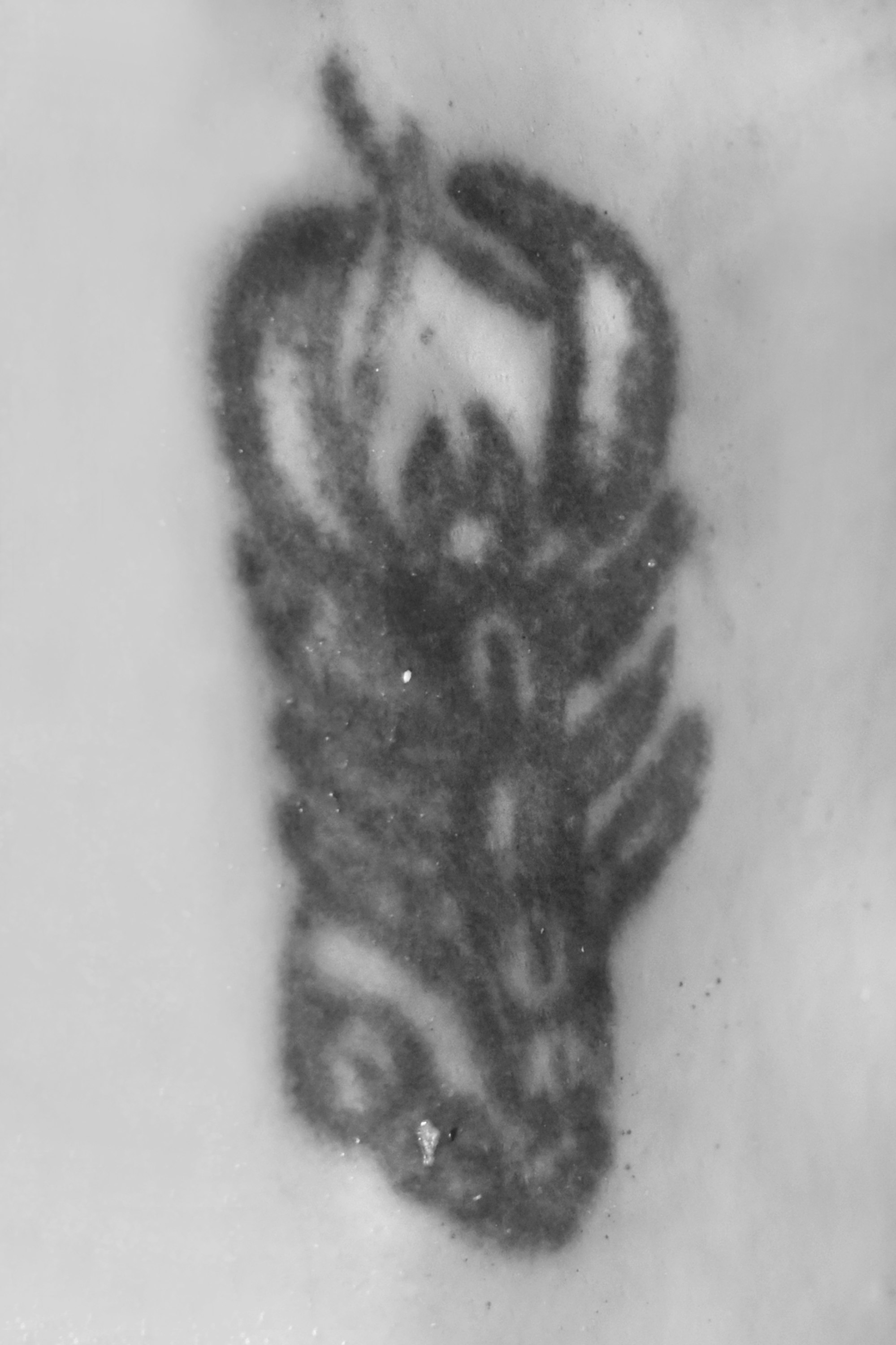 Tattoo-Mann Oberarm rechts innen 170612
