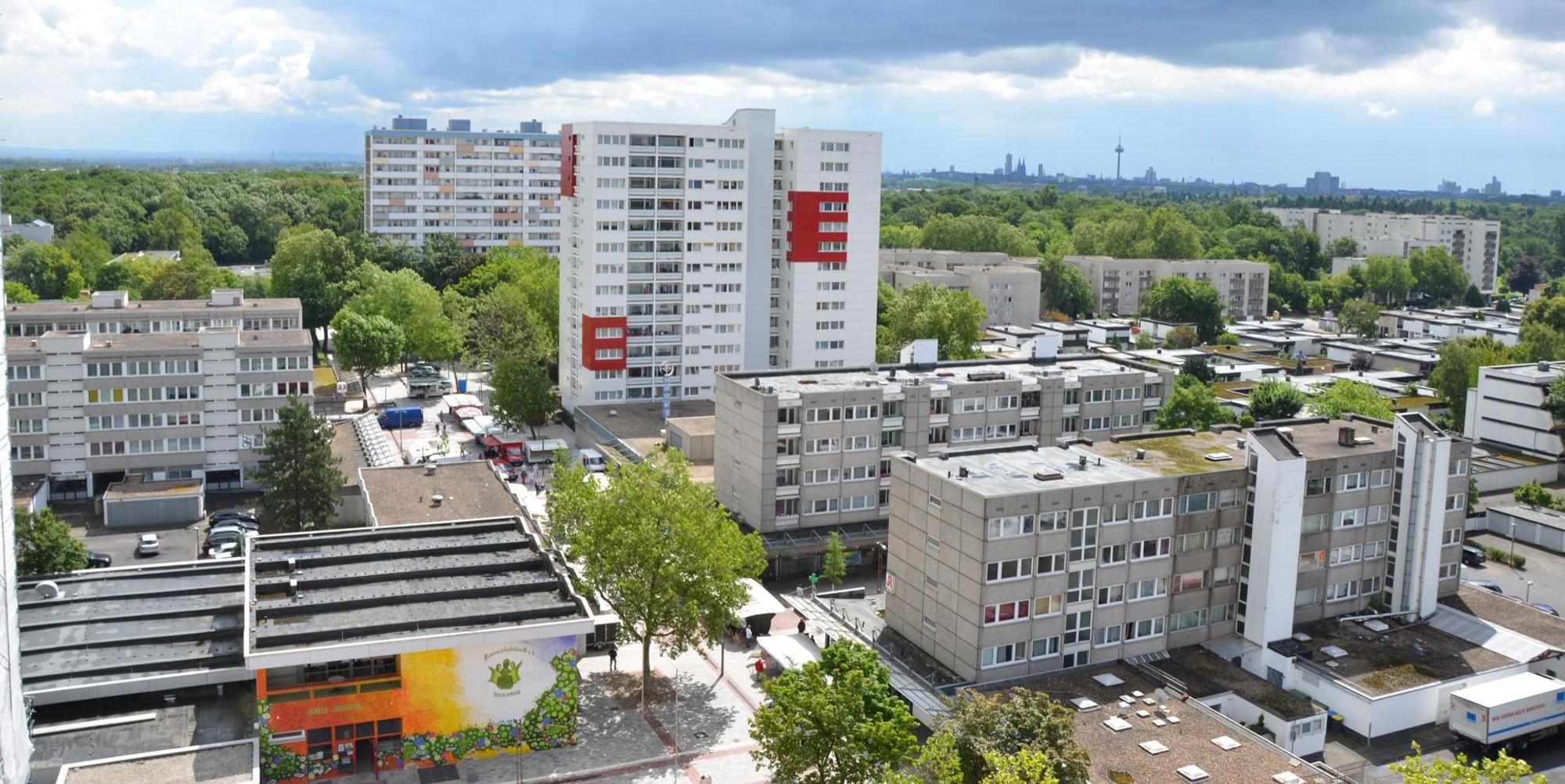 Neuer Inhalt (6)