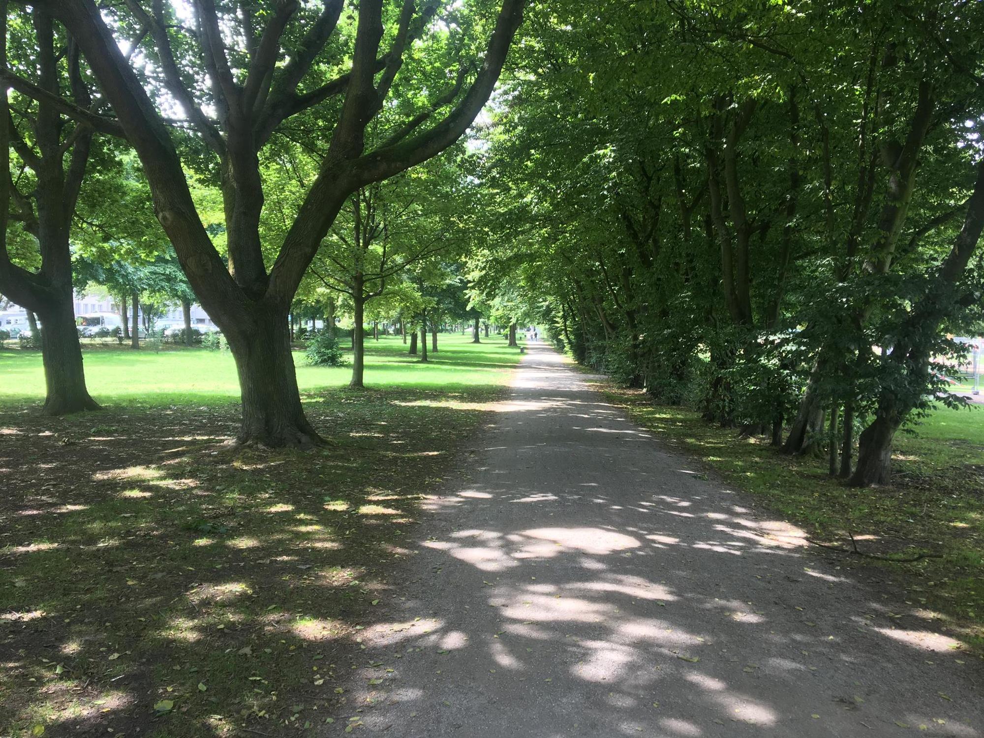 Lohsepark Umbau 4