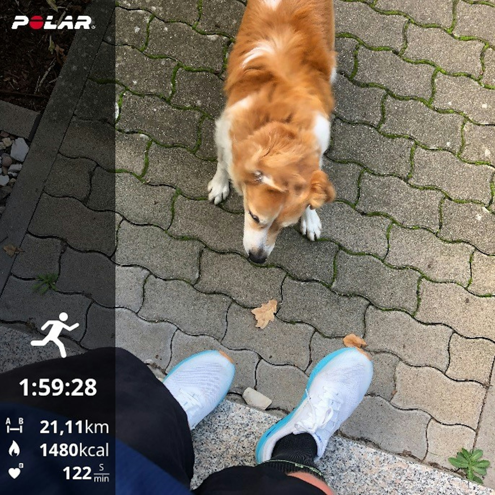 Neuer Inhalt