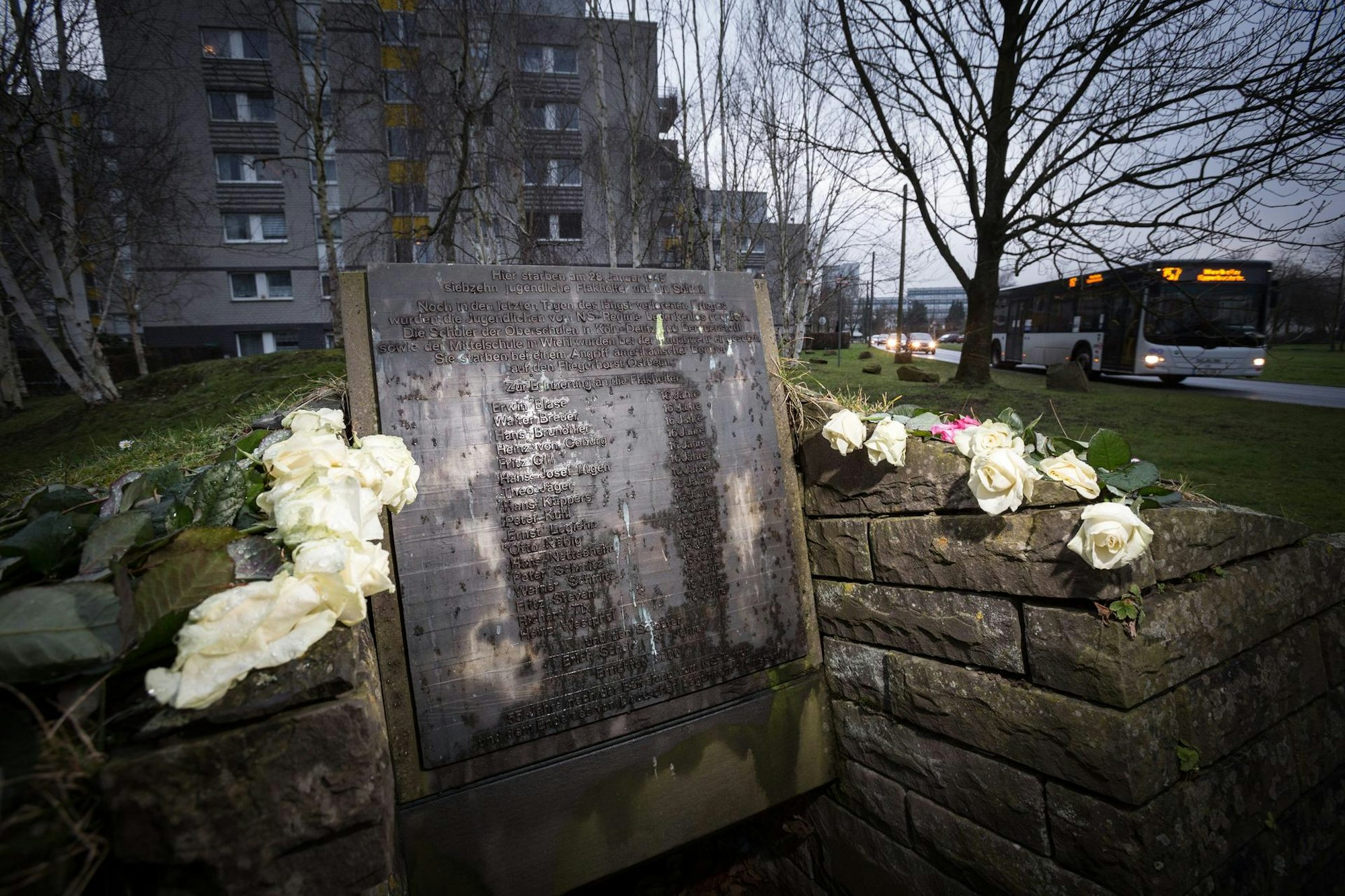 20150201denkmal-mh3031