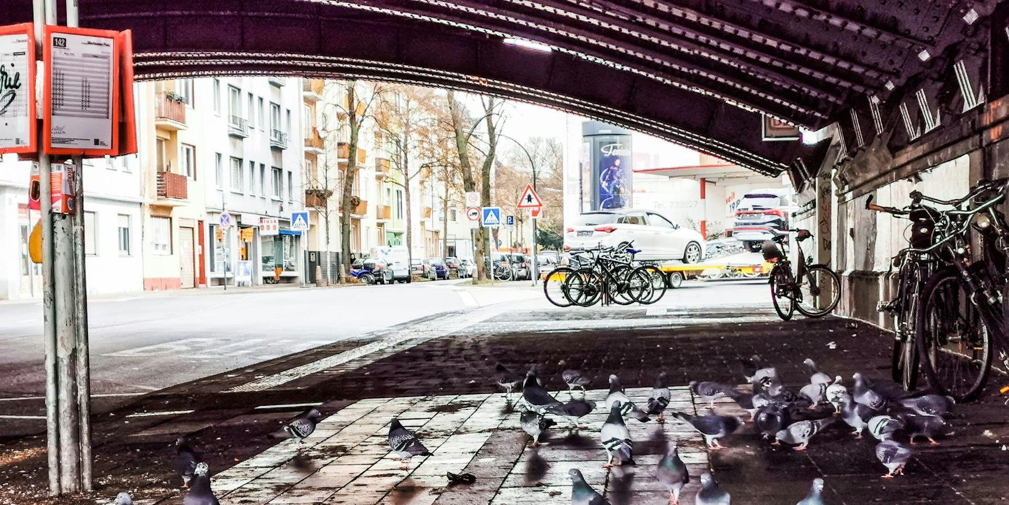 bahnhof_nippes_tauben_17_02_2021_02