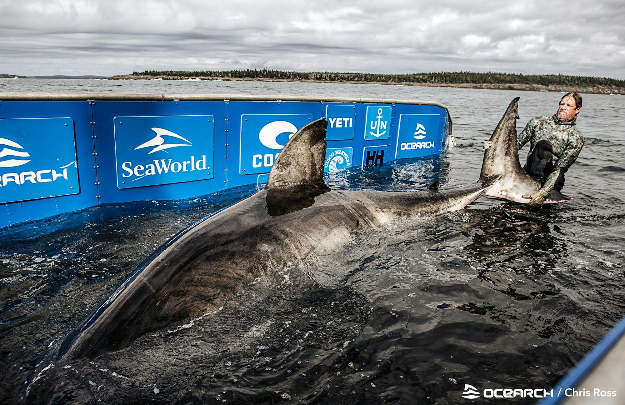 OCEARCH_ExpeditionNovaScotia_Nukumi_ChrisRoss_WM_10.02.2020_A7A6043b