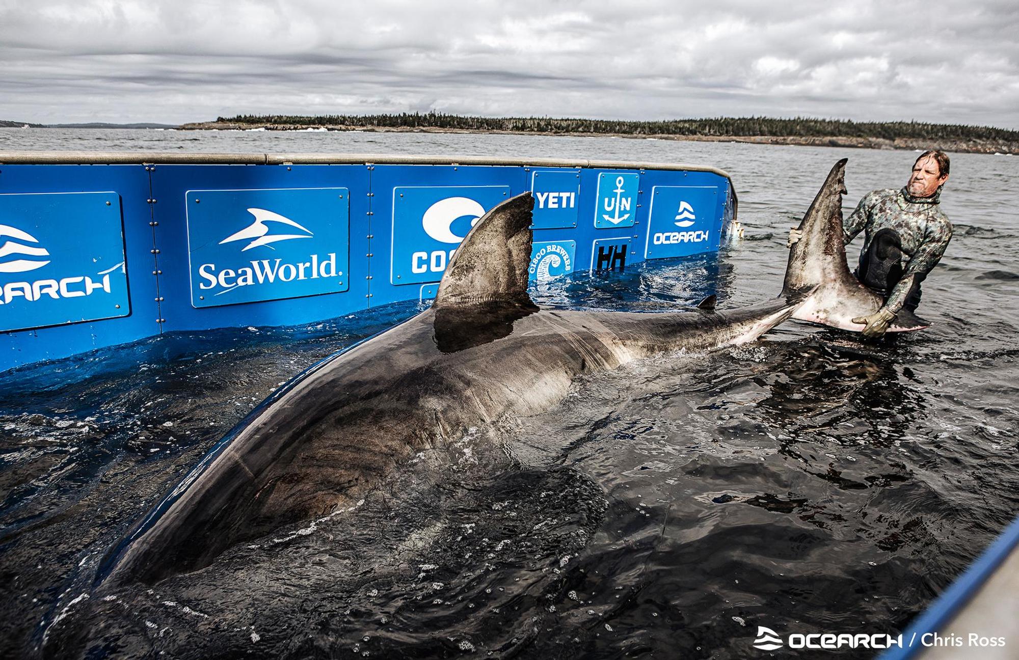 OCEARCH_ExpeditionNovaScotia_Nukumi_ChrisRoss_WM_10.02.2020_A7A6043b