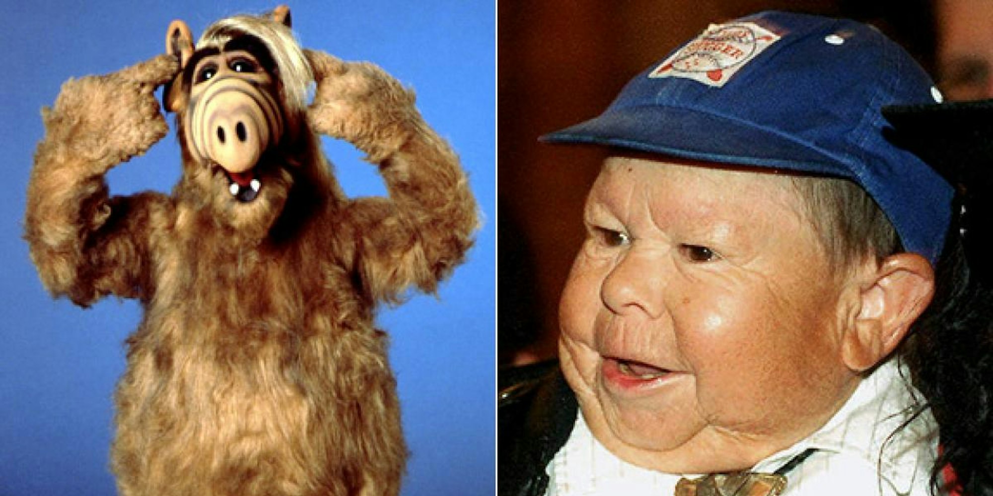 Michu Meszaros Alf