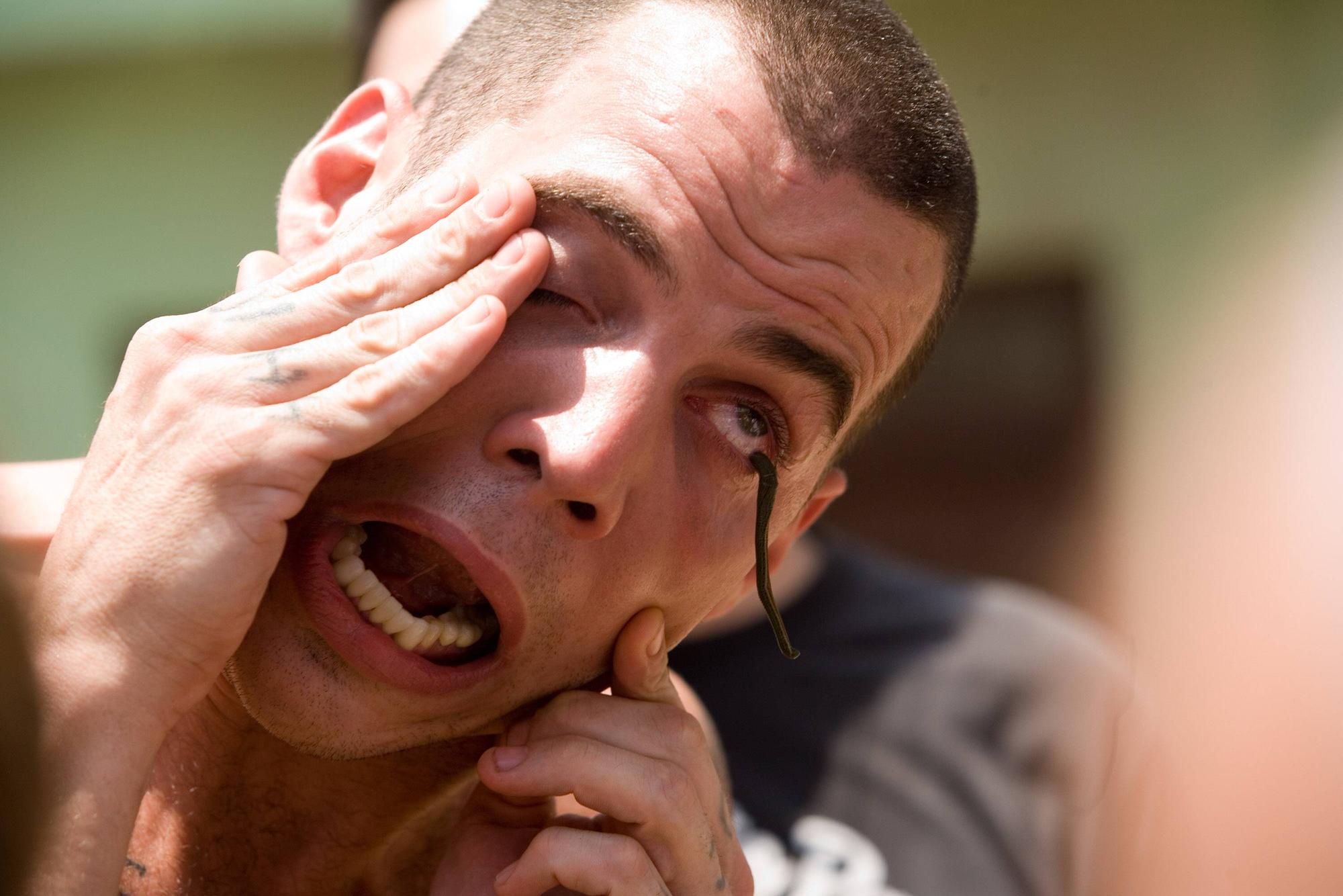 SteveO