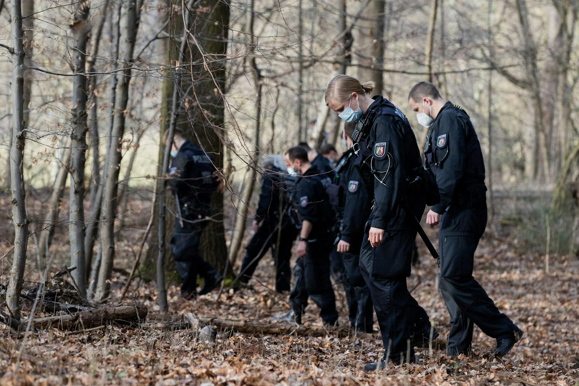 Polizisten durchsuchen ein Waldstück.