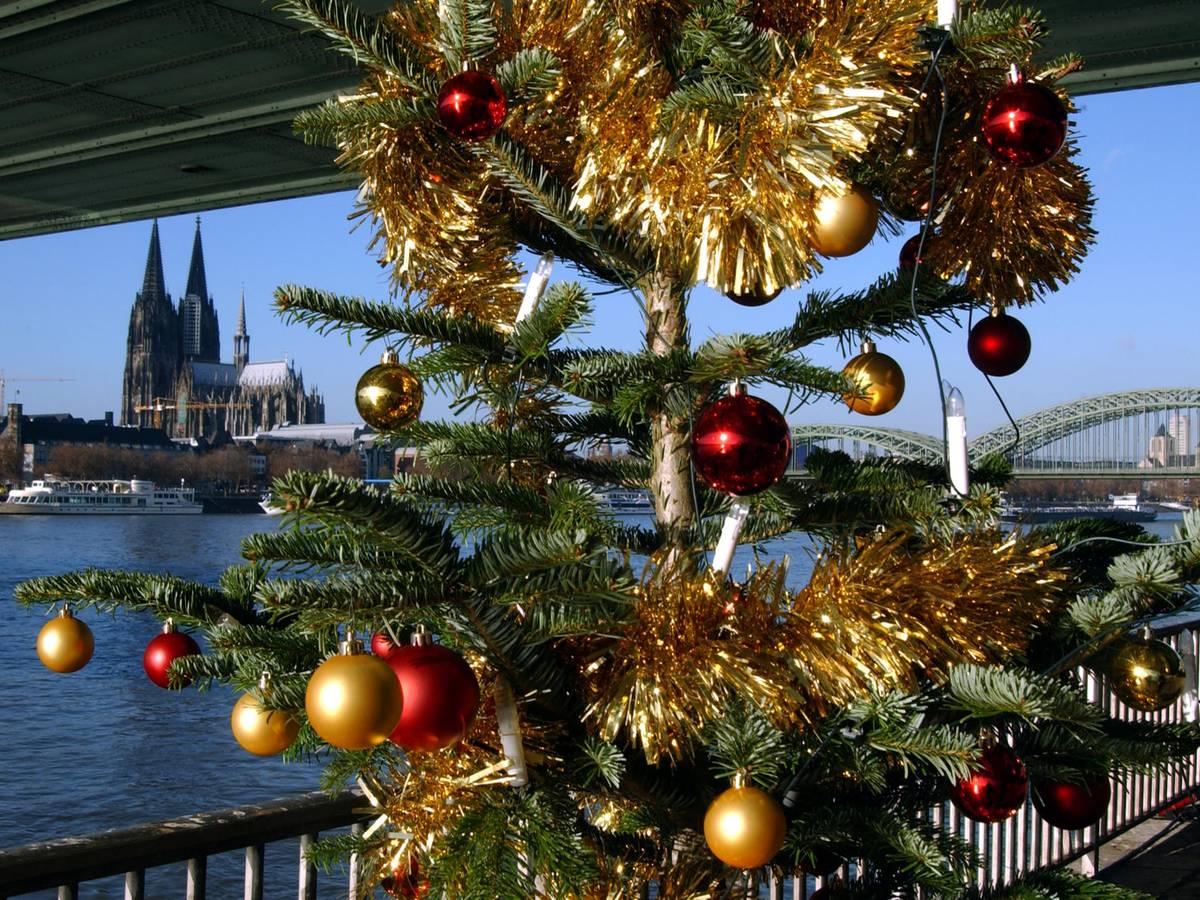 Weihnactsbaum_am_Rheinufer_Köln