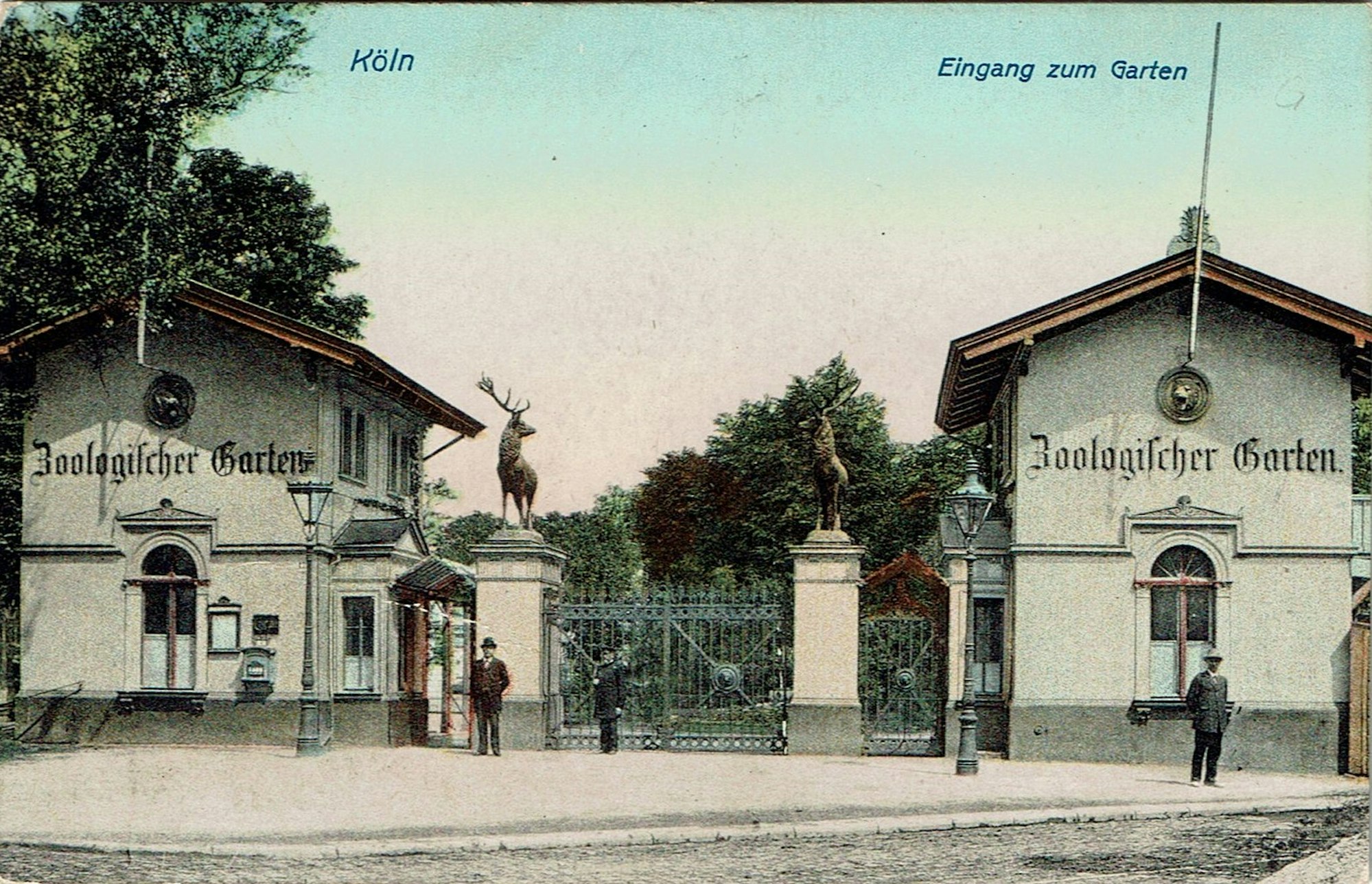 KölnerZoo1912_19072020