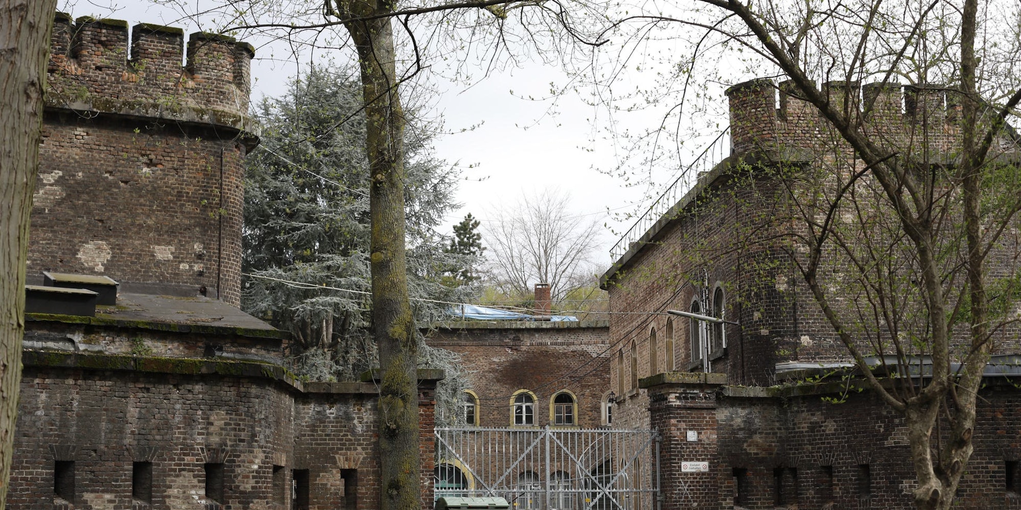 digas-177058129_MDS-EXP-2021-04-09-71-171339336