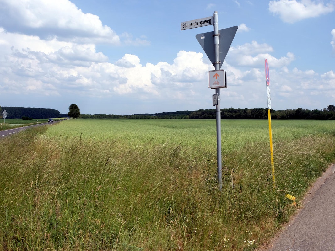 MDS-KSTA-2020-07-16-71-162982469