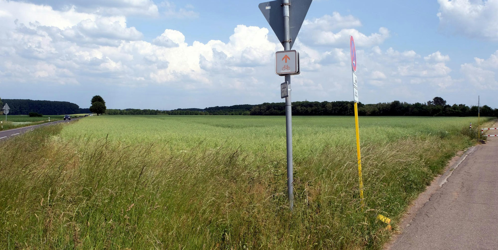 MDS-KSTA-2020-07-16-71-162982469