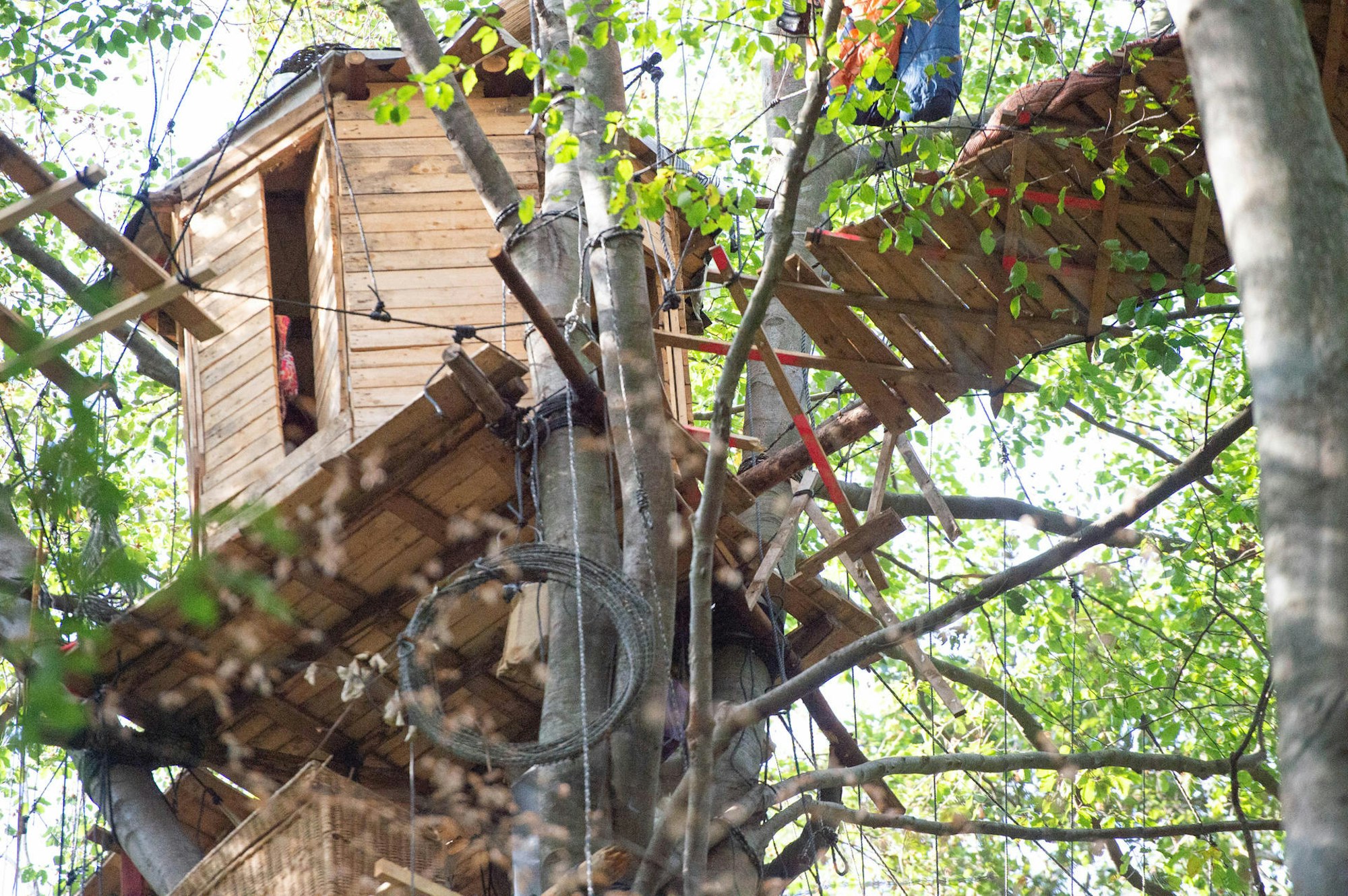 Baumhaus_im_Hambacher-Forst
