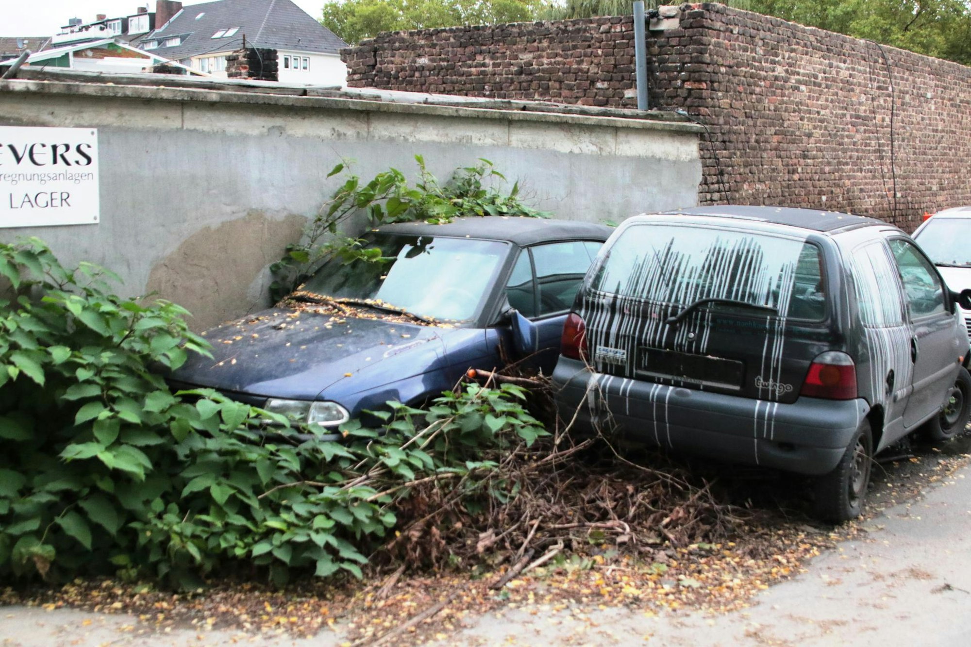 Autos_zugewuchert_11102017f