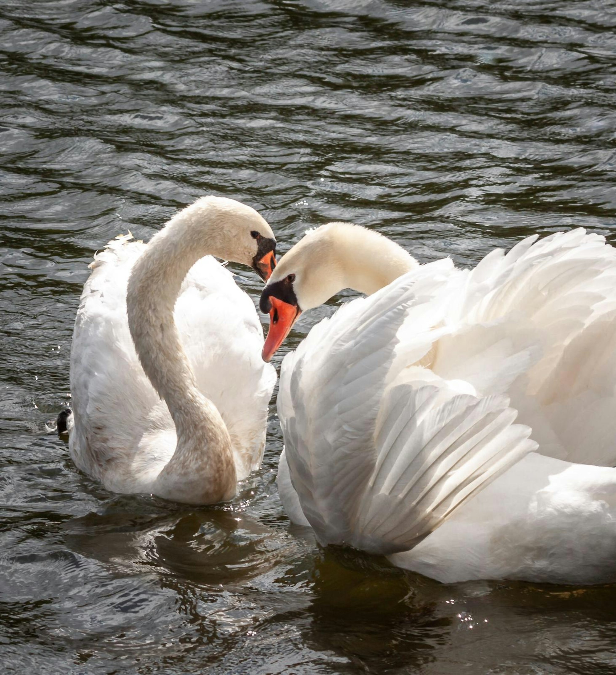 XPHOTO-2020-06-04-19-23-43