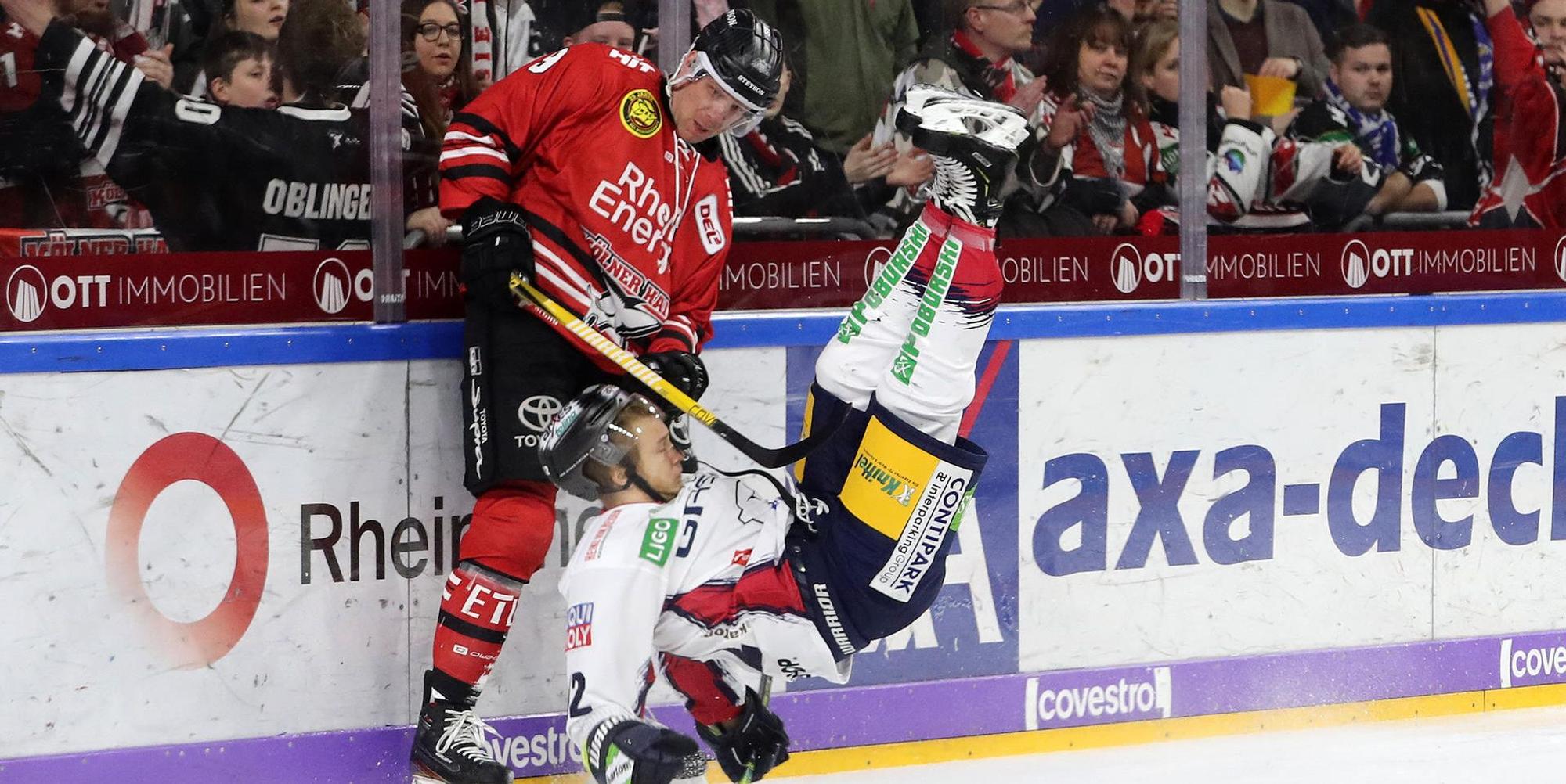 Eishockey Haie