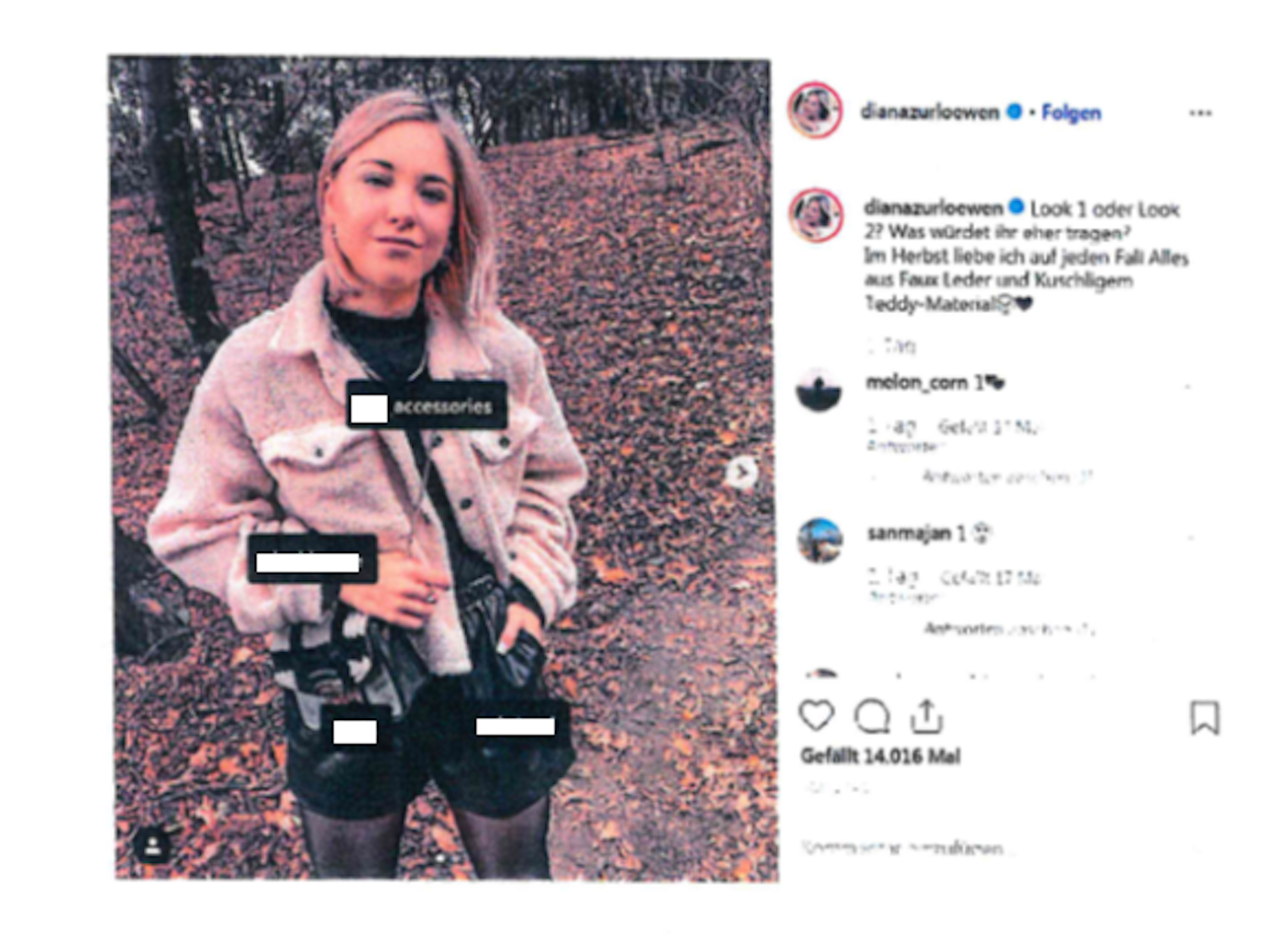 Influenzerin_data