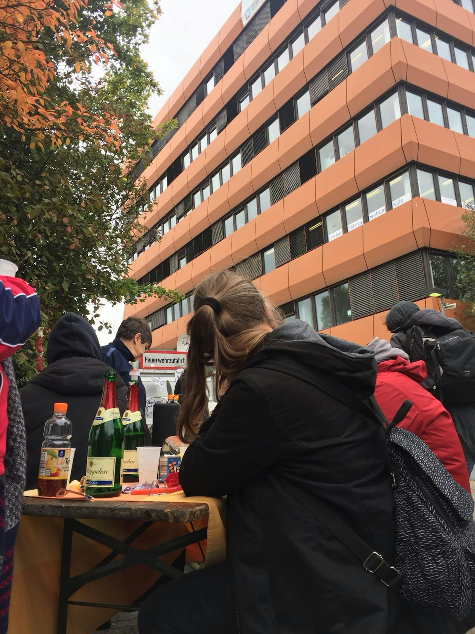 Neuer Inhalt (7)