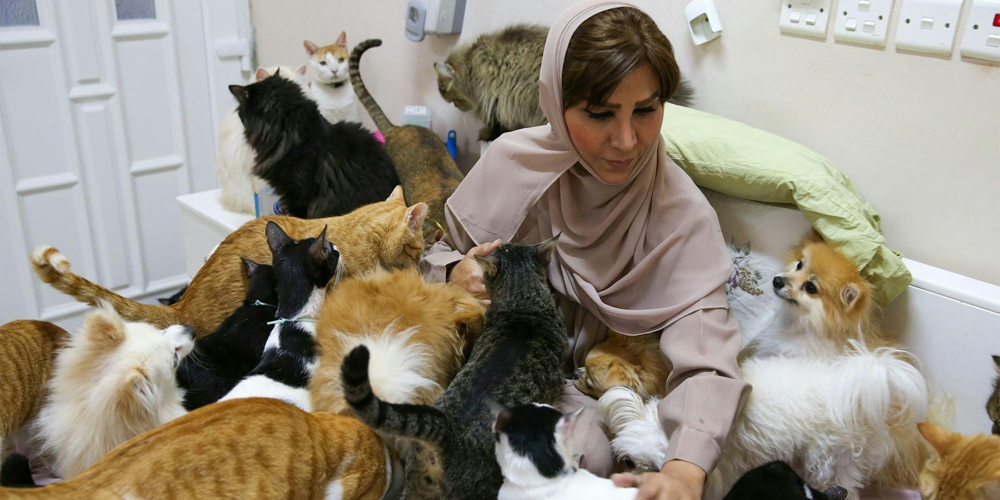 PANO Oman_Katzen2_251120