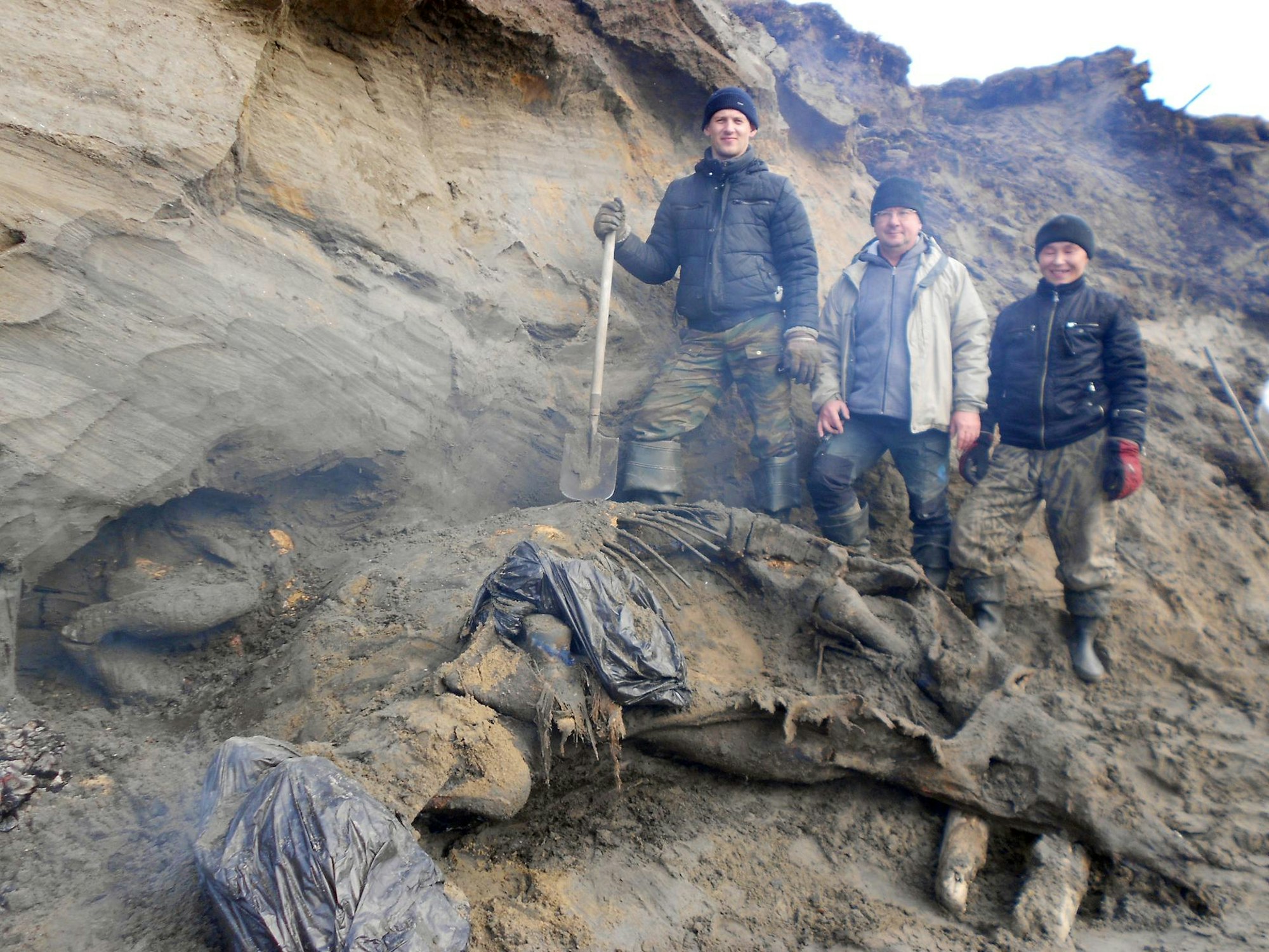 Mammut_Russland_Permafrost