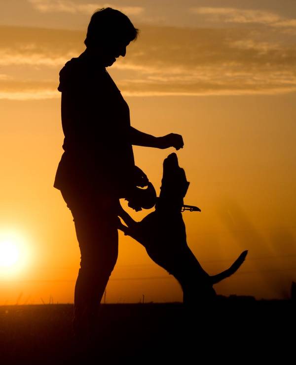 Hund_Frau_Symbol