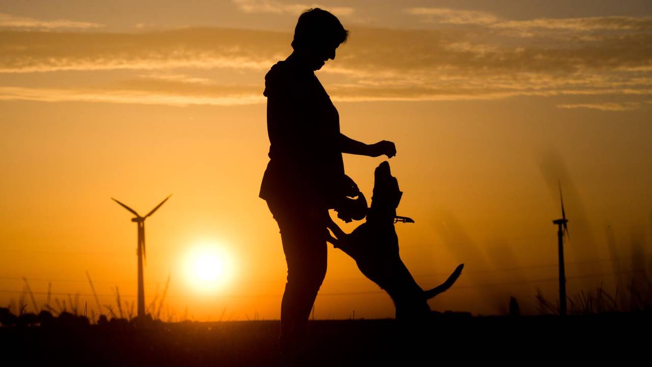 Hund_Frau_Symbol