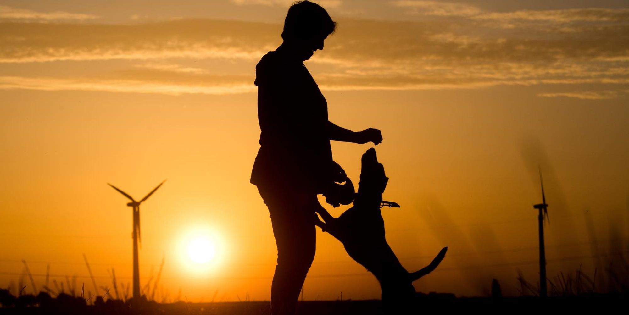 Hund_Frau_Symbol