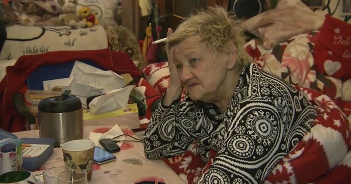 Stern Tv Ritter Familie Ritter: SternTV zeigt Umzug der Köthener TV-Familie | Express