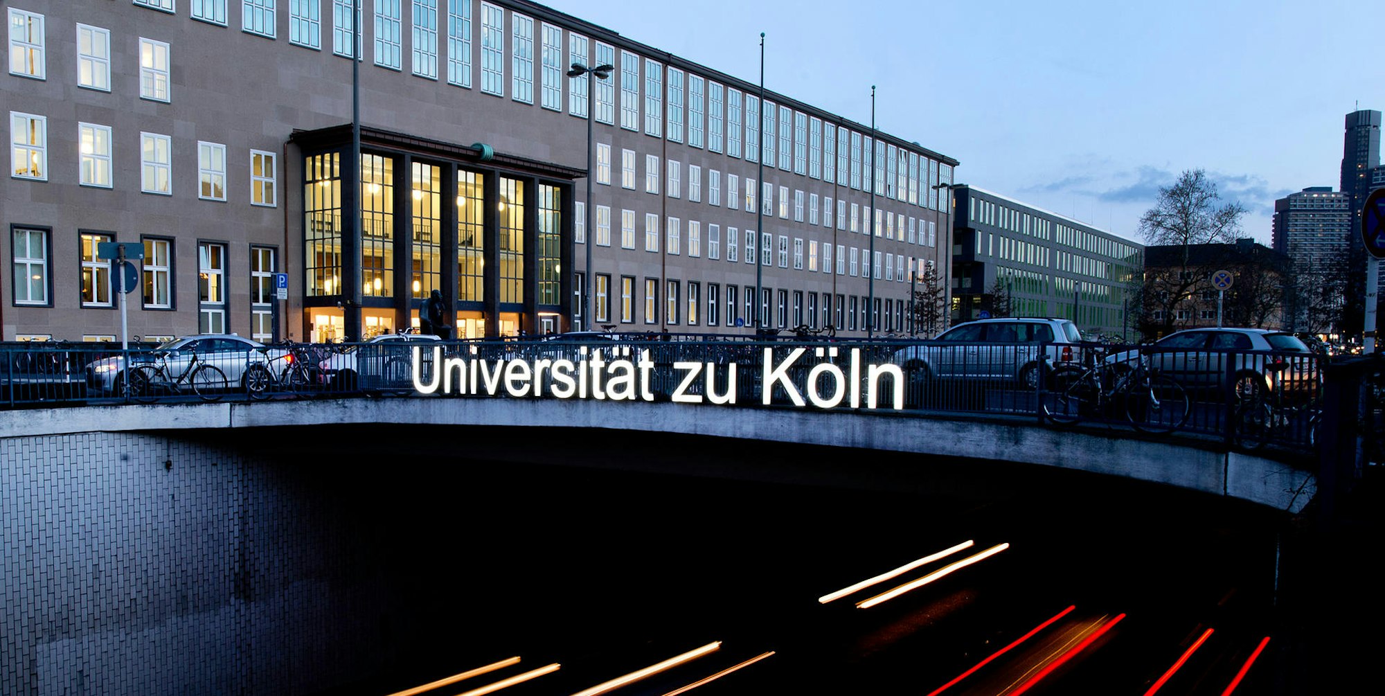 Neuer Inhalt (7)