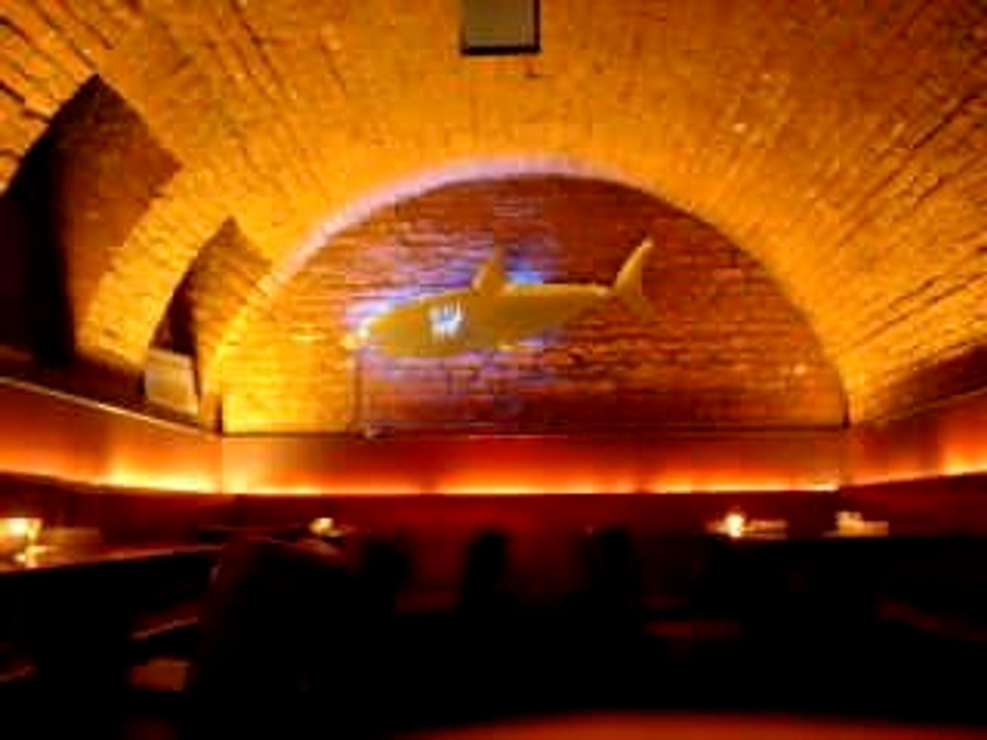 haifischclubkoeln2