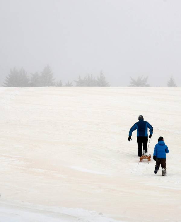 Roter Blutschnee in Deutschland