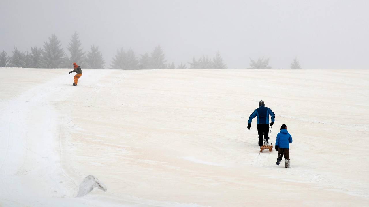 Roter Blutschnee in Deutschland