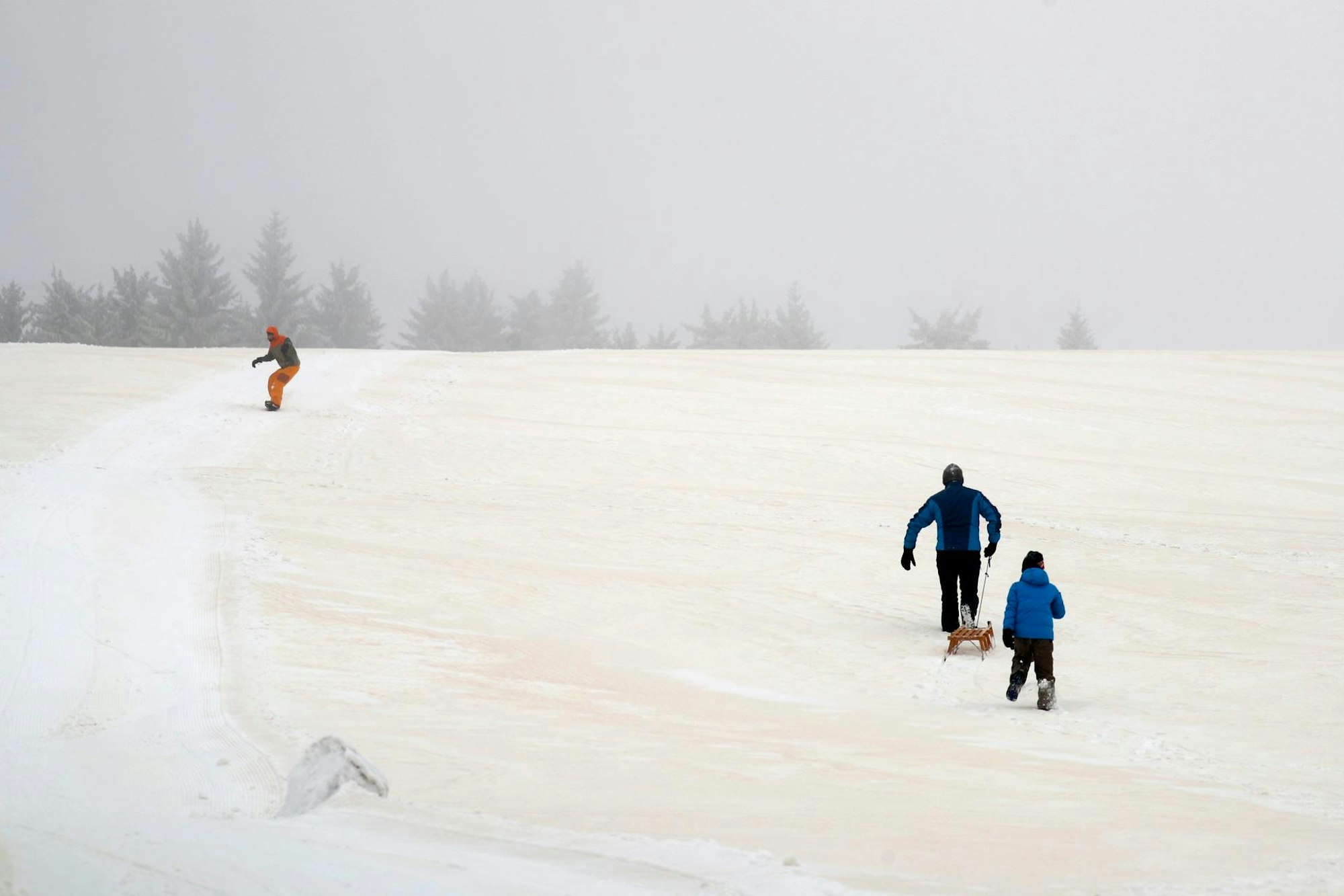 Roter Blutschnee in Deutschland
