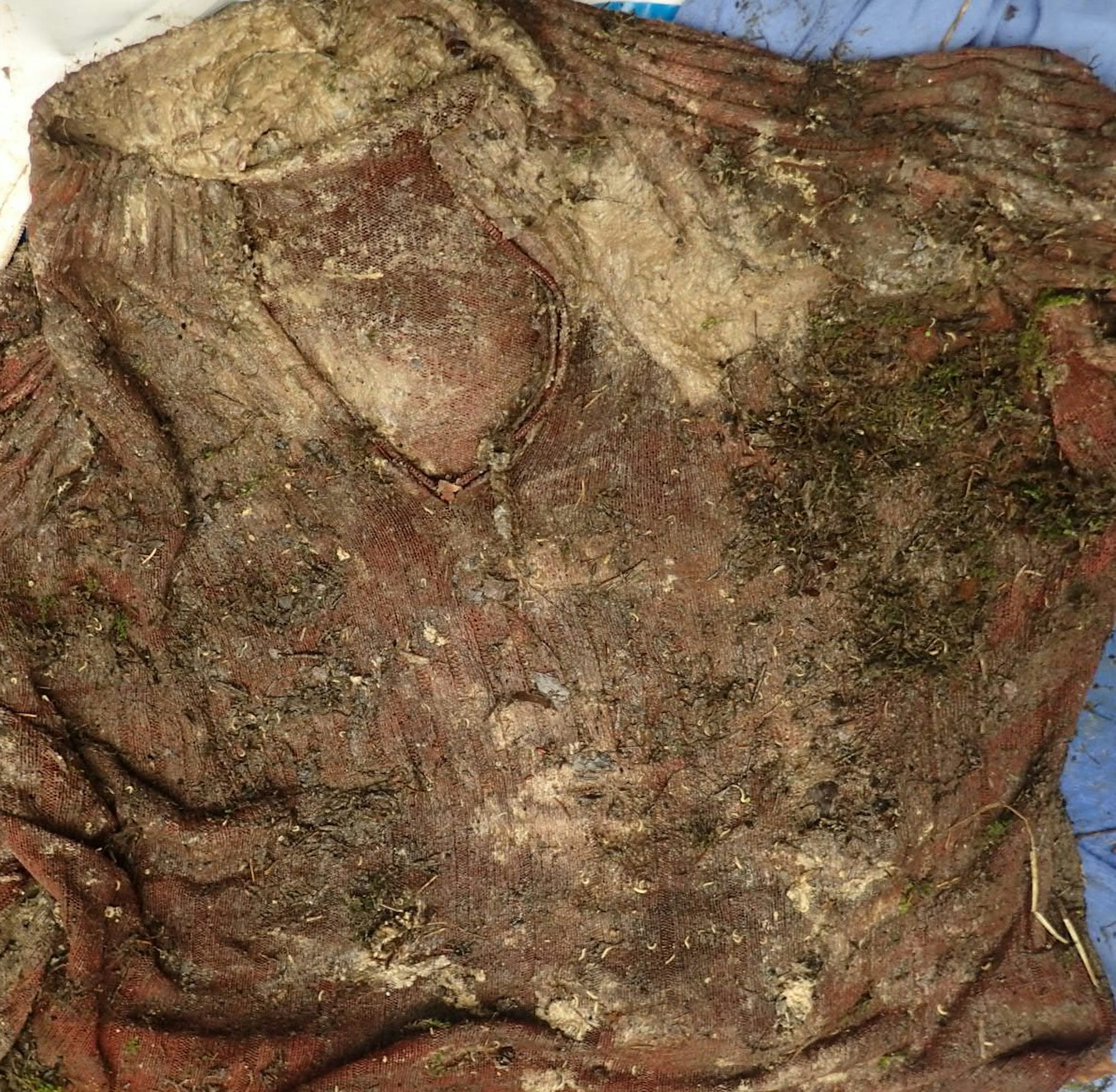 RoteStrickjacke (1)
