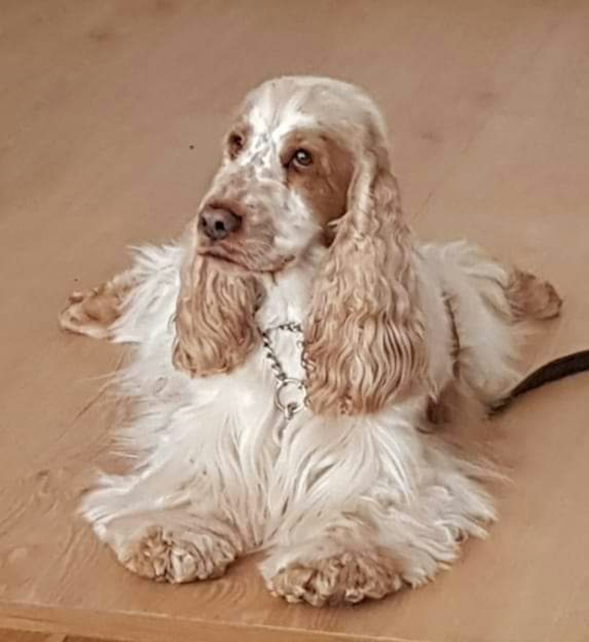 cfac9858-50f4-4a71-87cd-3ce44a353939 (002)