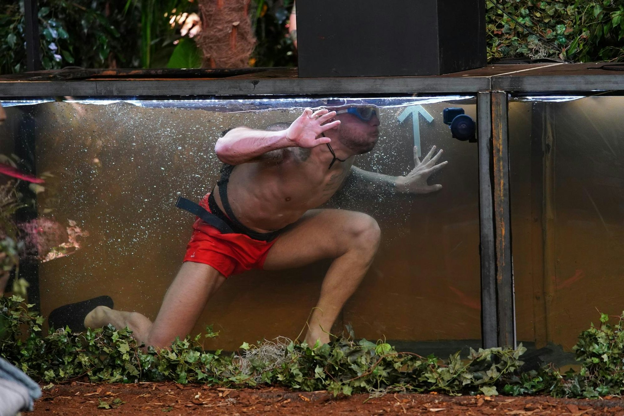 dschungel_Finale_Filip_29012021