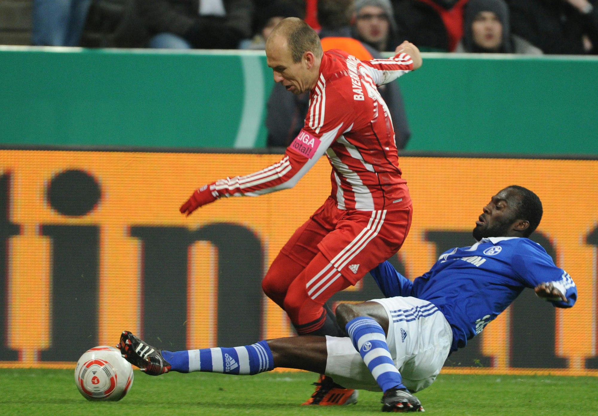 Sarpei_Robben