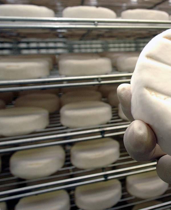 Dieses Symbolfoto zeigt ein Stück Camembert im Reiferaum.