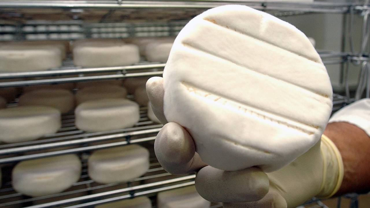 Dieses Symbolfoto zeigt ein Stück Camembert im Reiferaum.