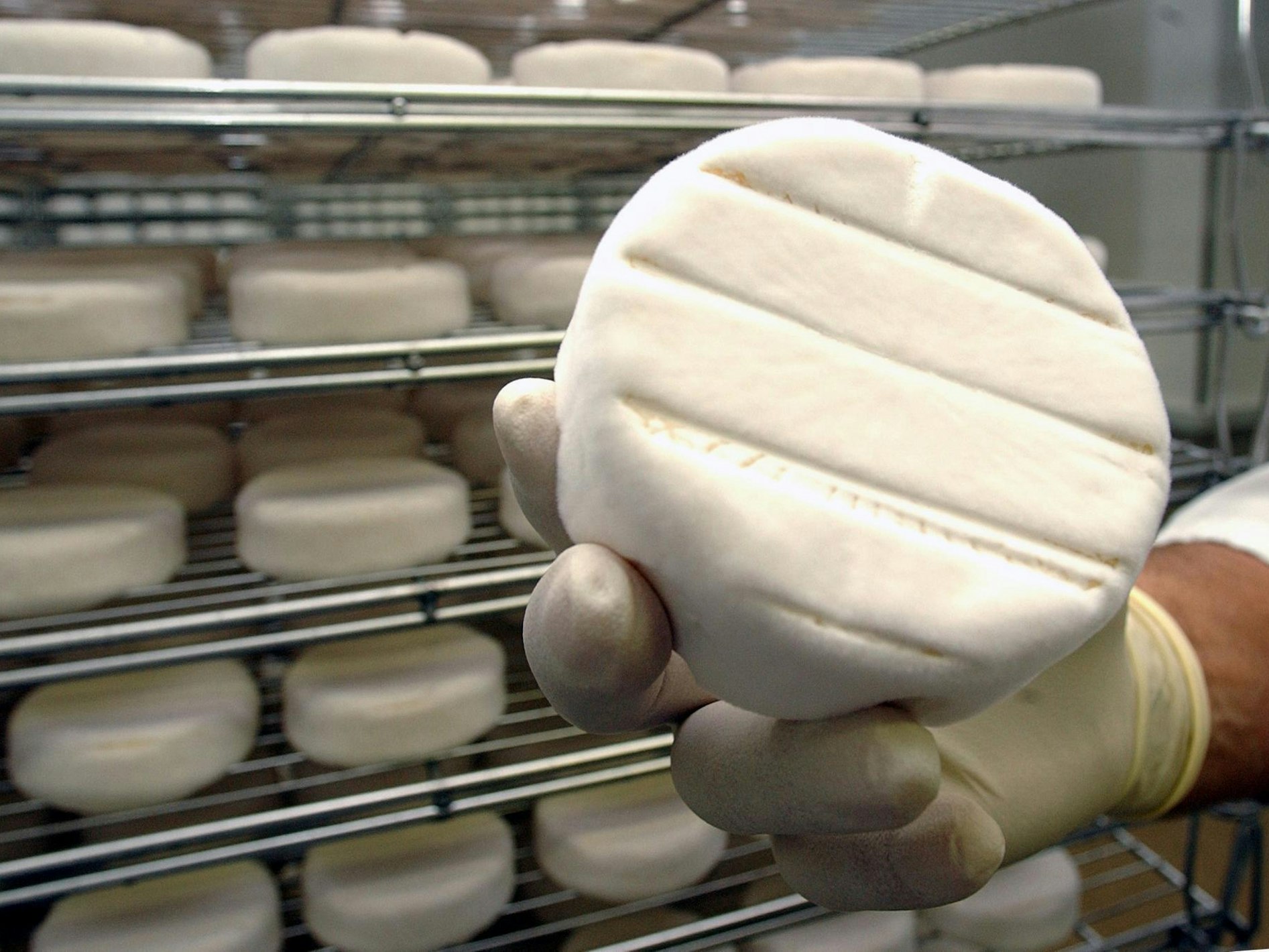 Das Foto zeigt ein Stück Camembert im Reiferaum. Zu: Käse-Rückruf von Camembert