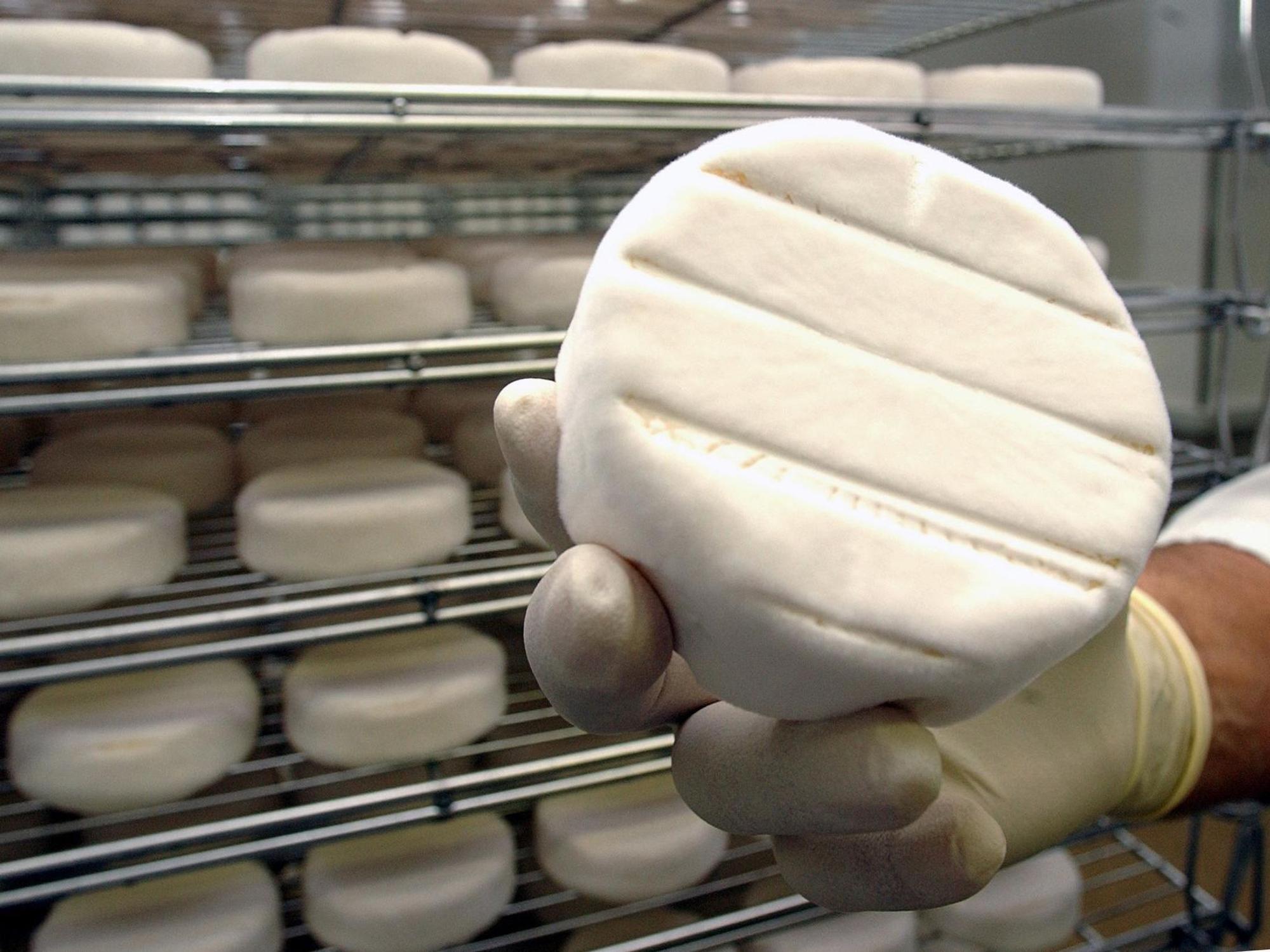 Das Foto zeigt ein Stück Camembert im Reiferaum. Zu: Käse-Rückruf von Camembert