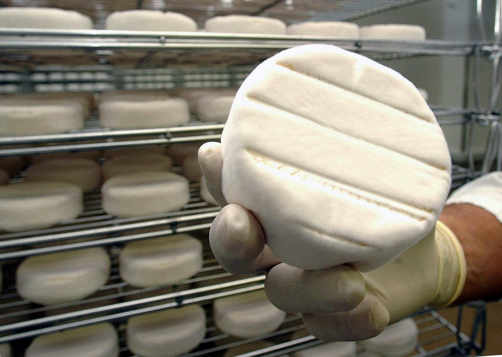 Dieses Symbolfoto zeigt ein Stück Camembert im Reiferaum.