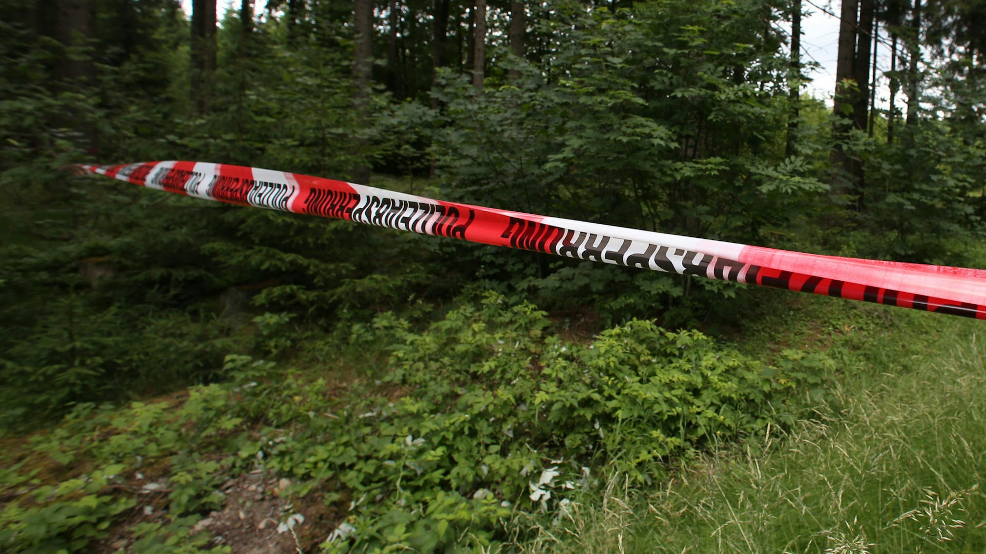 Das Foto zeigt einen mit Polizei-Flatterband abgesperrten Bereich in einem Waldstück.