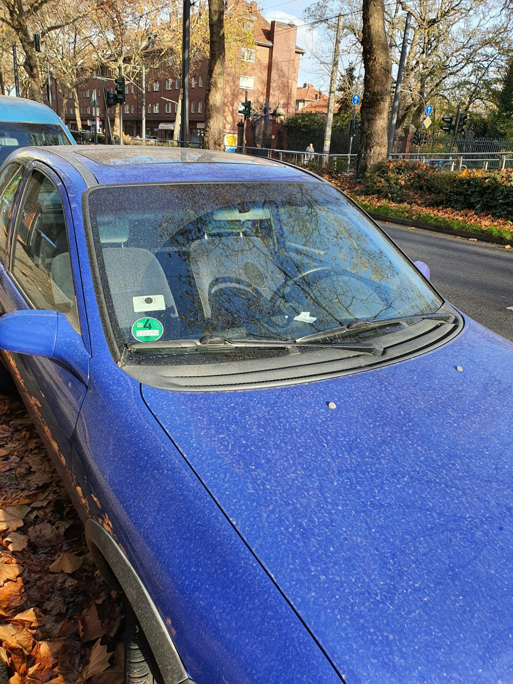 Blutregen: Auch auf der Luxemburger Straße in Köln waren Autos am Montag (9.11. 2020) mit Sand bedeckt.