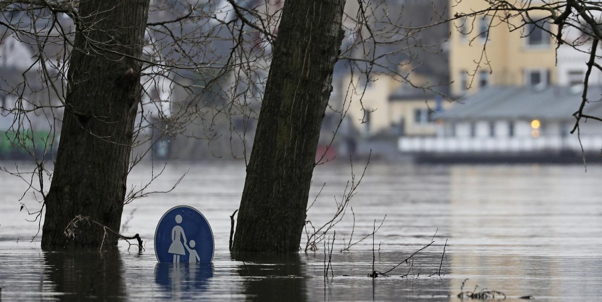 Der Rheinpegel steigt weiterhin an und sorgt in Köln für Hochwasser und Überschwemmungen