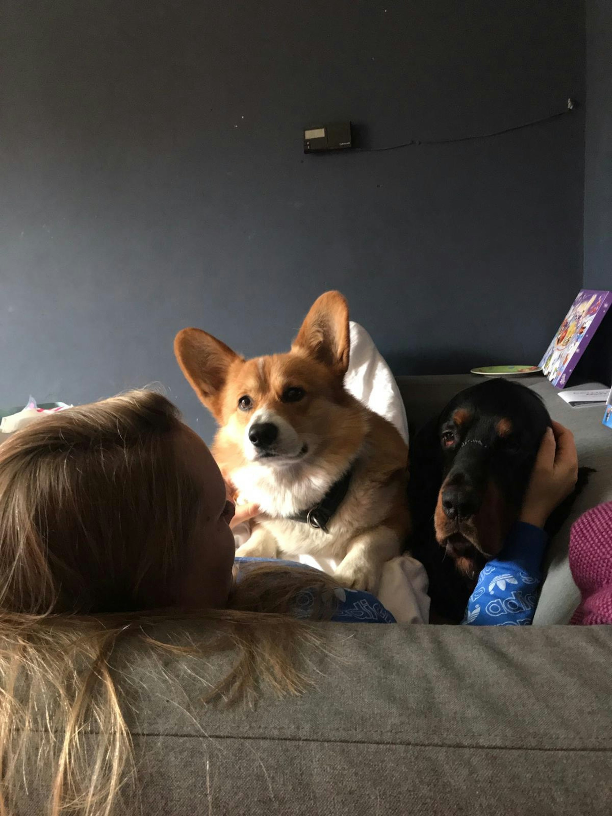 Annaika kuschelt mit den Hunden