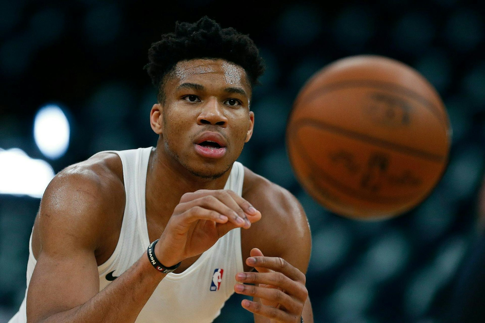 Antetokounmpo2